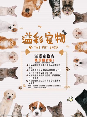 專業寵物服務，呵護愛寵健康與快樂